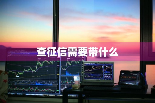 查征信需要带什么