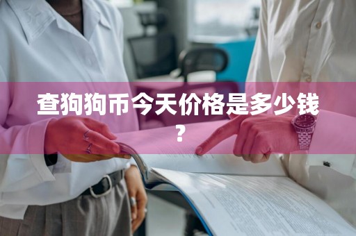 查狗狗币今天价格是多少钱？