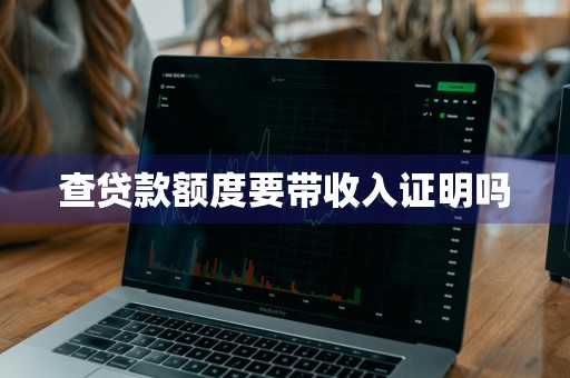 查贷款额度要带收入证明吗