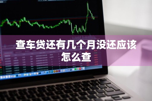 查车贷还有几个月没还应该怎么查