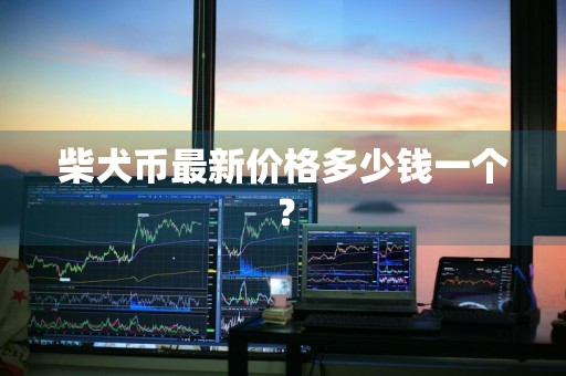 柴犬币最新价格多少钱一个？