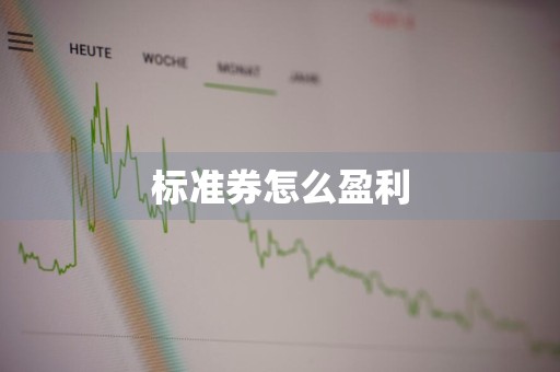 标准券怎么盈利
