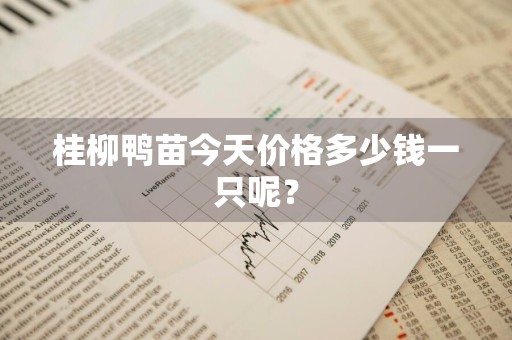 桂柳鸭苗今天价格多少钱一只呢？