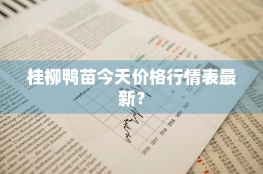 桂柳鸭苗今天价格行情表最新？