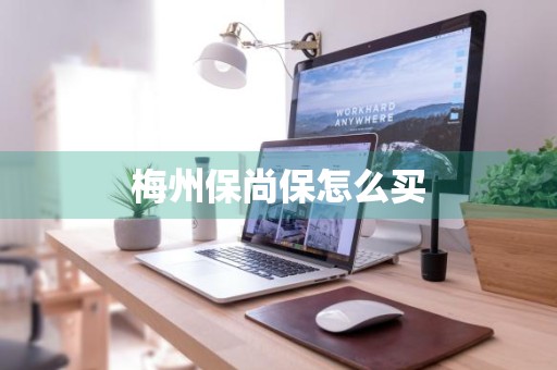 梅州保尚保怎么买