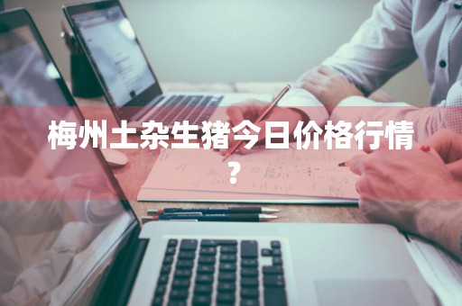 梅州土杂生猪今日价格行情？