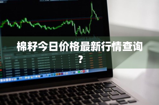 棉籽今日价格最新行情查询？