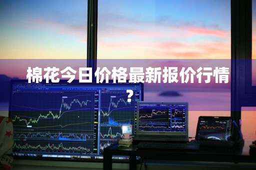 棉花今日价格最新报价行情？