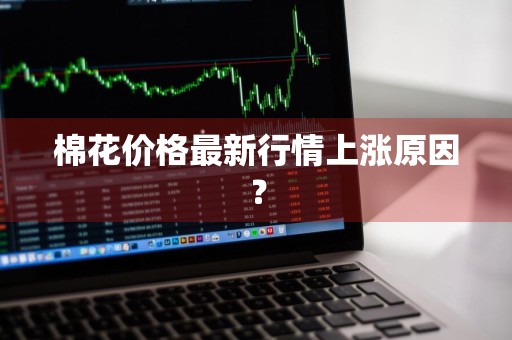 棉花价格最新行情上涨原因？