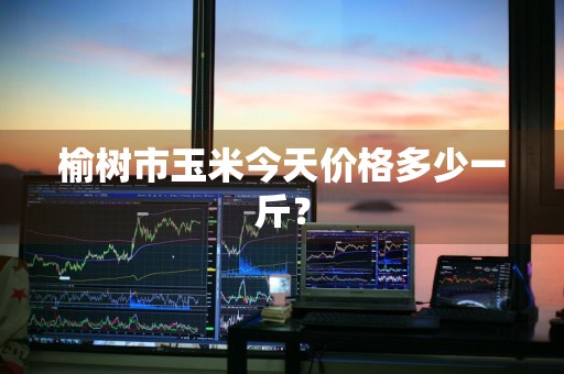 榆树市玉米今天价格多少一斤？