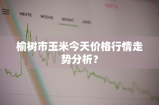 榆树市玉米今天价格行情走势分析？