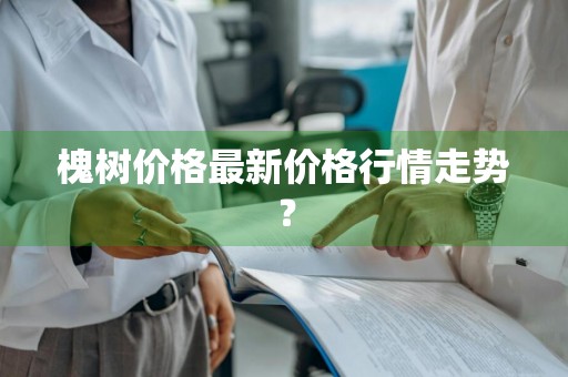 槐树价格最新价格行情走势？