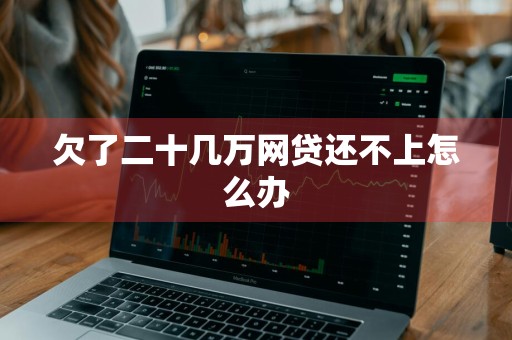 欠了二十几万网贷还不上怎么办
