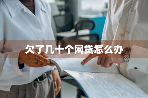 欠了几十个网贷怎么办