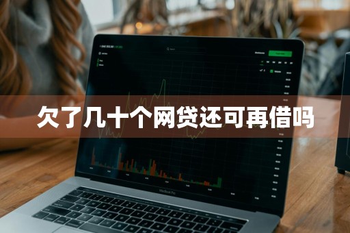 欠了几十个网贷还可再借吗