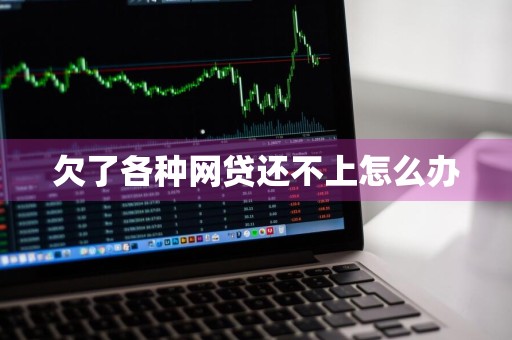 欠了各种网贷还不上怎么办