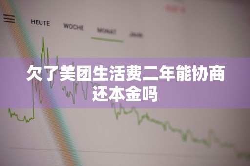 欠了美团生活费二年能协商还本金吗