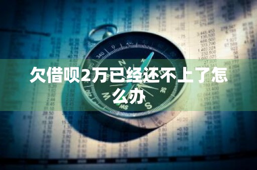 欠借呗2万已经还不上了怎么办