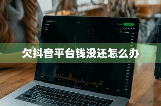 欠抖音平台钱没还怎么办