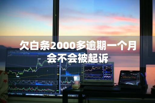 欠白条2000多逾期一个月会不会被起诉