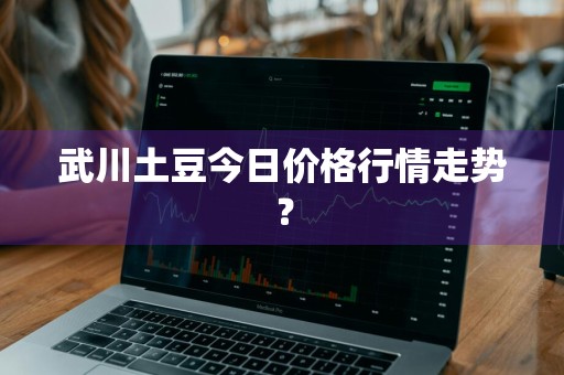 武川土豆今日价格行情走势？