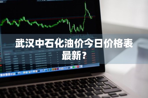 武汉中石化油价今日价格表最新？