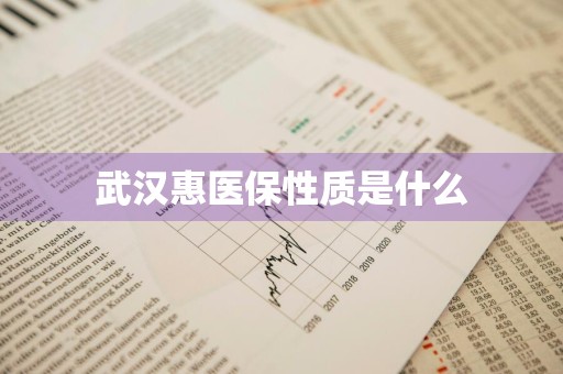武汉惠医保性质是什么