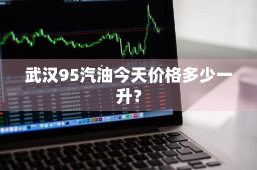 武汉95汽油今天价格多少一升？