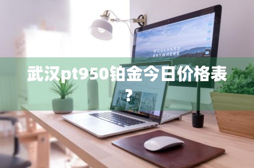武汉pt950铂金今日价格表？