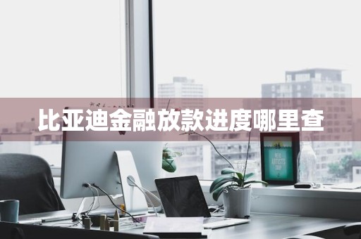 比亚迪金融放款进度哪里查