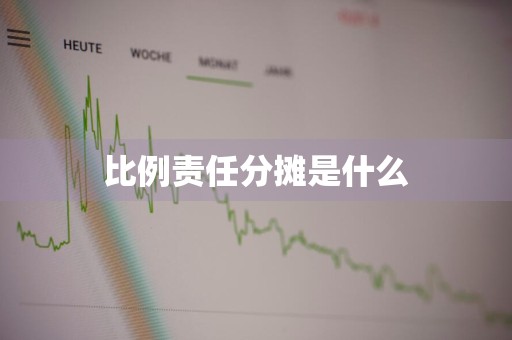 比例责任分摊是什么