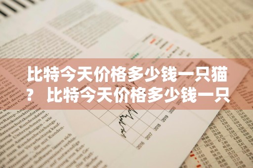 比特今天价格多少钱一只猫？ 比特今天价格多少钱一只猫咪