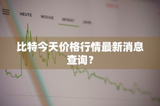 比特今天价格行情最新消息查询？
