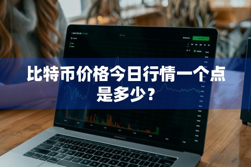比特币价格今日行情一个点是多少？