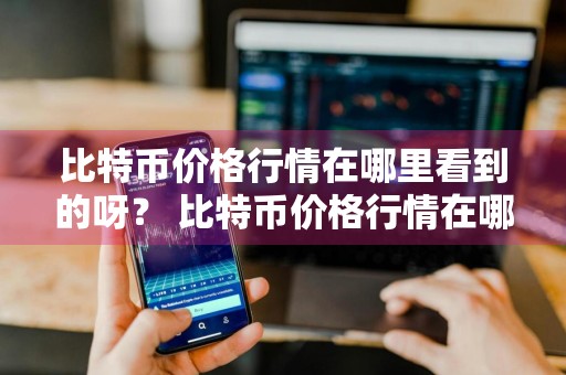比特币价格行情在哪里看到的呀？ 比特币价格行情在哪里看到的呀知乎