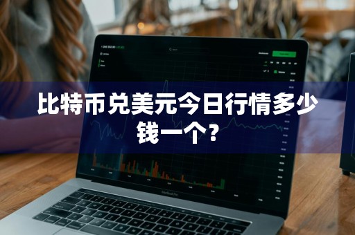 比特币兑美元今日行情多少钱一个？