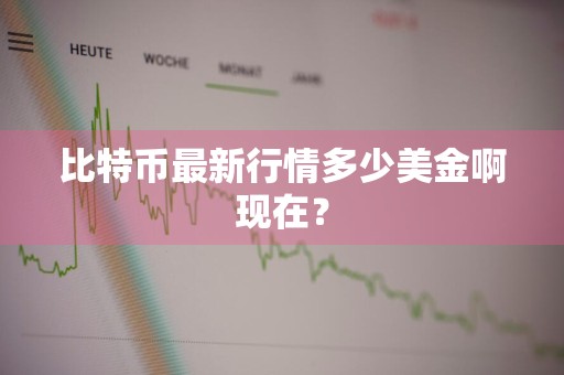 比特币最新行情多少美金啊现在?