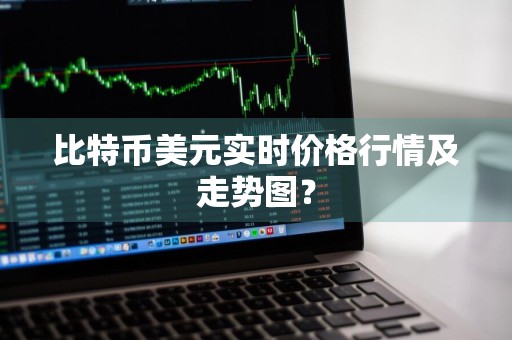 比特币美元实时价格行情及走势图？