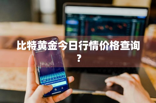 比特黄金今日行情价格查询？