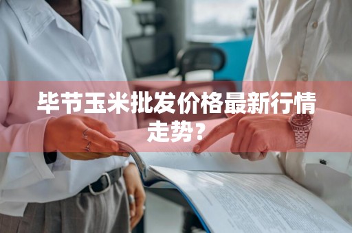 毕节玉米批发价格最新行情走势？