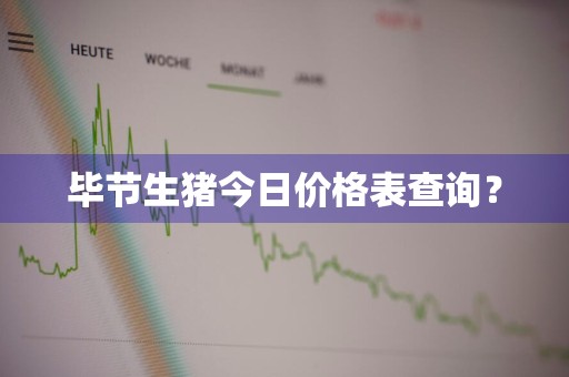 毕节生猪今日价格表查询？