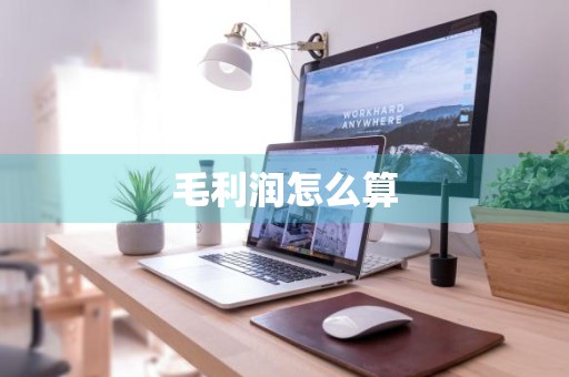 毛利润怎么算