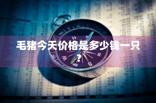毛猪今天价格是多少钱一只？