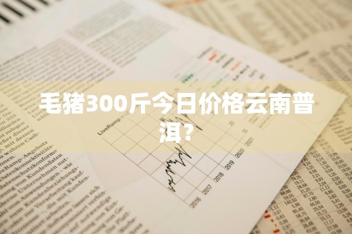 毛猪300斤今日价格云南普洱？