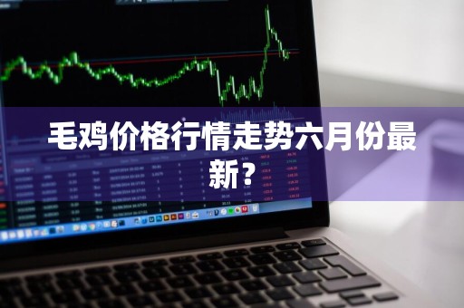 毛鸡价格行情走势六月份最新？