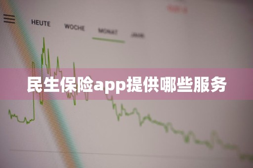 民生保险app提供哪些服务