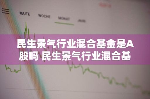 民生景气行业混合基金是A股吗 民生景气行业混合基金是a股吗还是b股