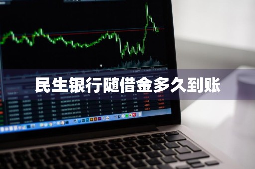 民生银行随借金多久到账