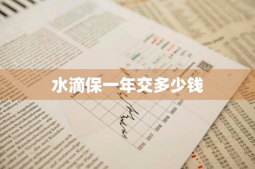 水滴保一年交多少钱