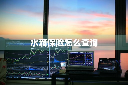 水滴保险怎么查询